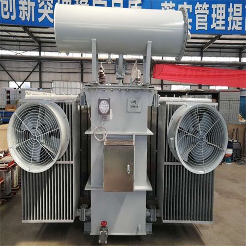 六枝特10KV油浸式变压器